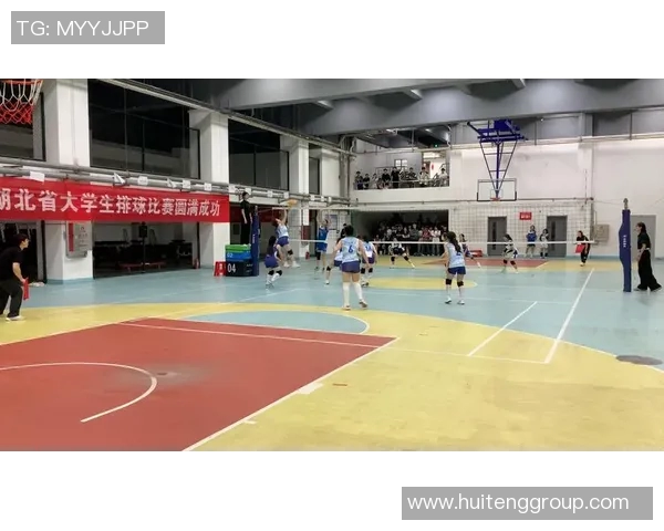 武汉排球队实力变革引发热议展望未来发展新篇章