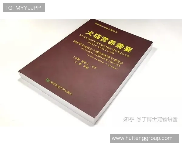 北京排球队耐力提升之路探讨与热议